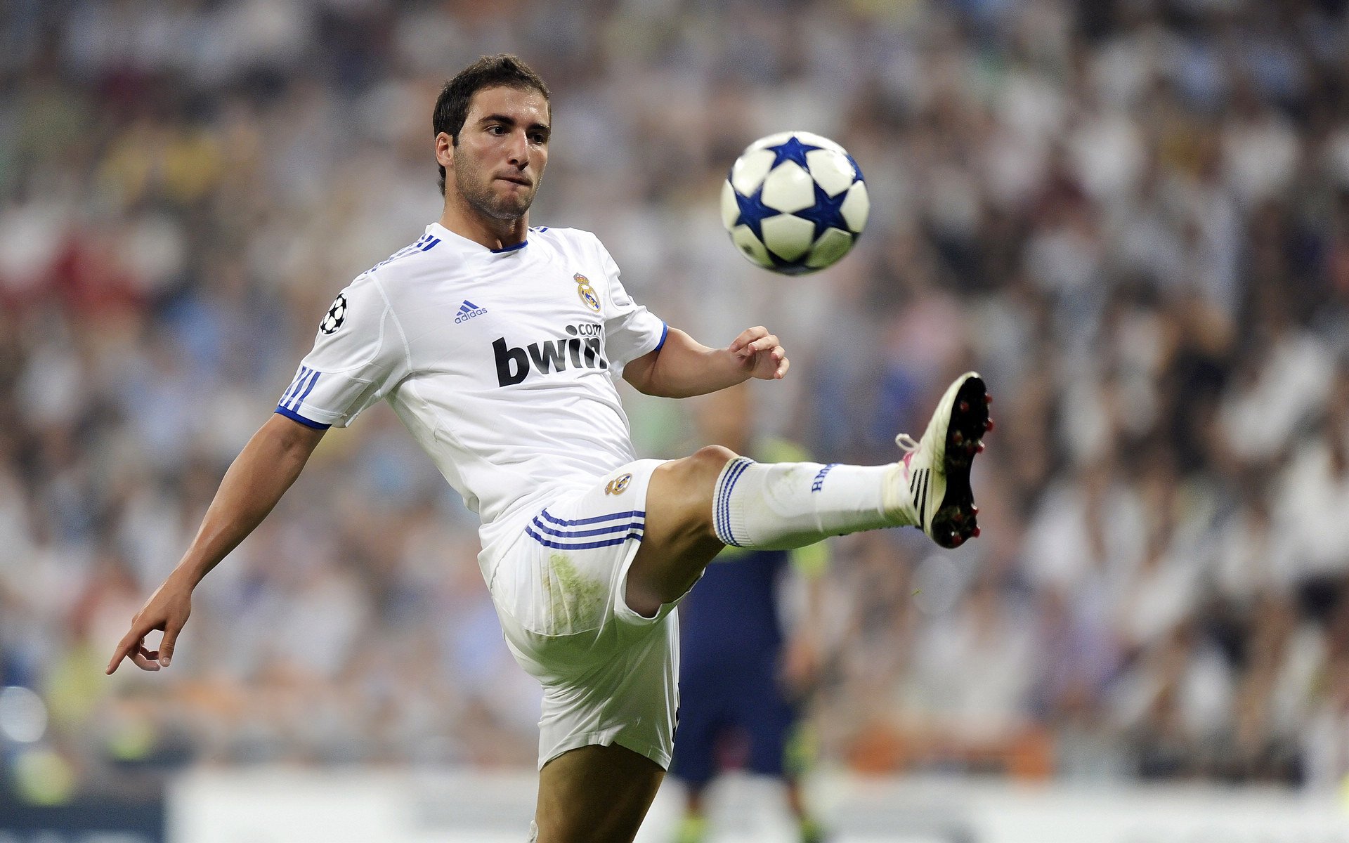 开云官网入口-世界杯后主流媒体的报道倾向，世界杯主办方优势